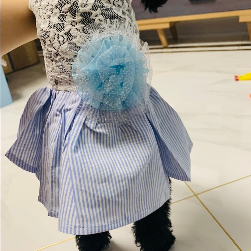 Pet dresses set - Picture 2 of 4